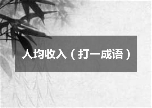 人均收入（打一成语）