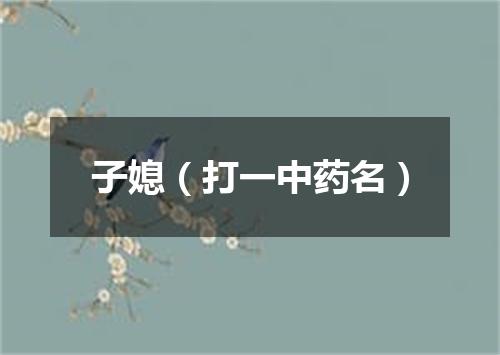 子媳（打一中药名）