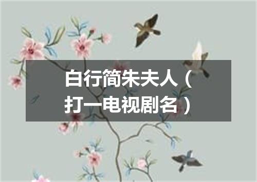 白行简朱夫人（打一电视剧名）