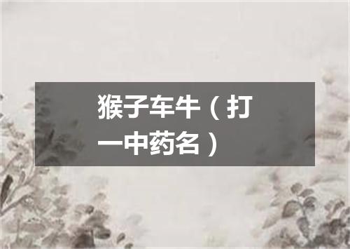 猴子车牛（打一中药名）