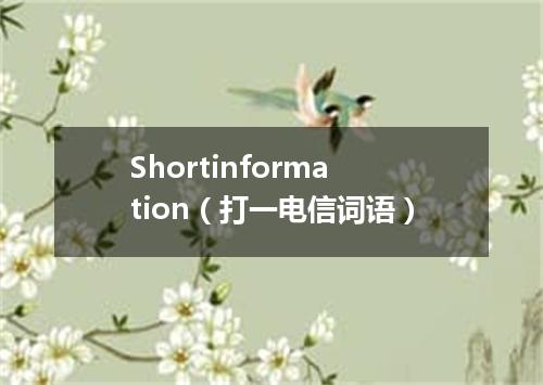 Shortinformation（打一电信词语）