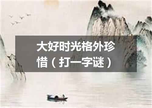 大好时光格外珍惜（打一字谜）