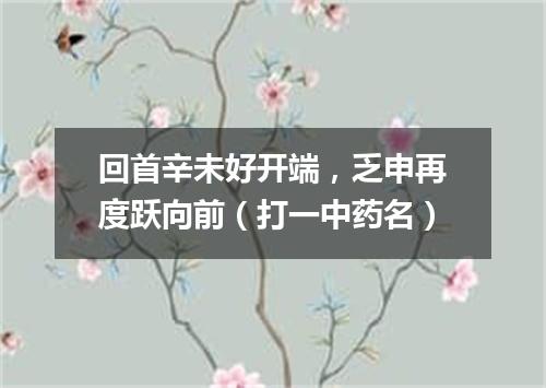 回首辛未好开端，乏申再度跃向前（打一中药名）