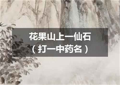 花果山上一仙石（打一中药名）