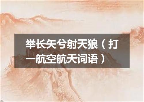 举长矢兮射天狼（打一航空航天词语）