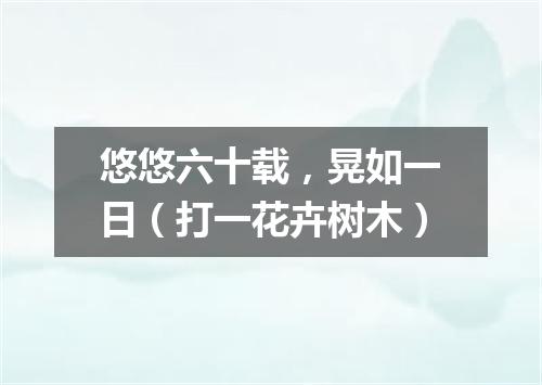 悠悠六十载，晃如一日（打一花卉树木）