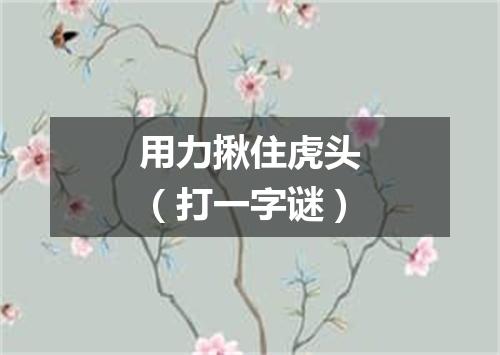 用力揪住虎头（打一字谜）