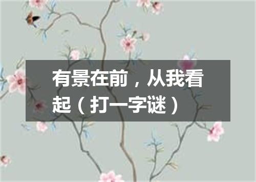 有景在前，从我看起（打一字谜）