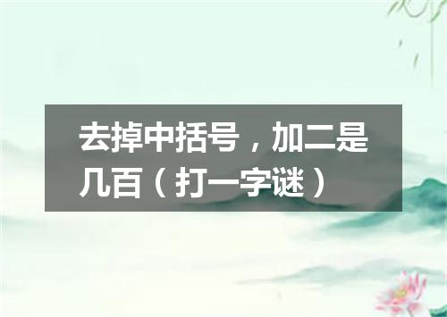 去掉中括号，加二是几百（打一字谜）