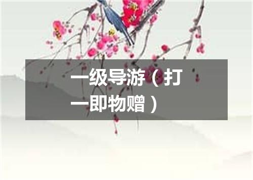 一级导游（打一即物赠）
