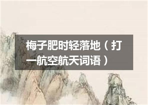 梅子肥时轻落地（打一航空航天词语）