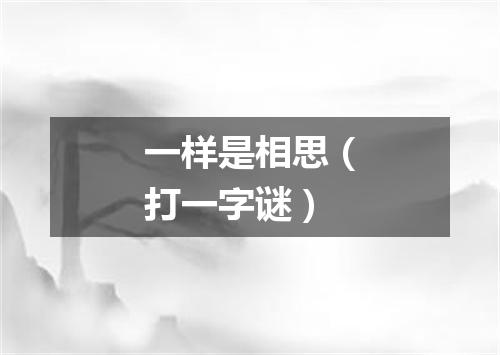 一样是相思（打一字谜）