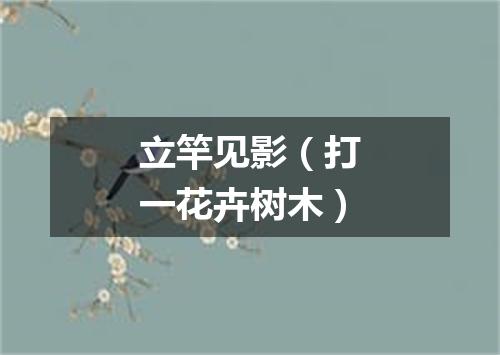 立竿见影（打一花卉树木）