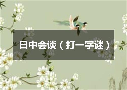 日中会谈（打一字谜）