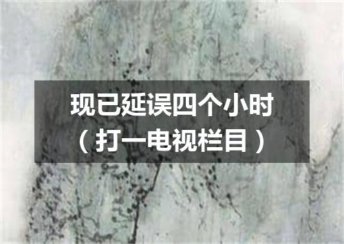 现已延误四个小时（打一电视栏目）
