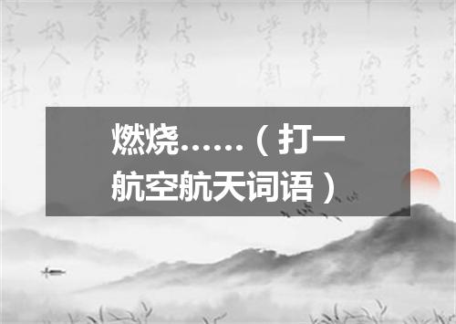 燃烧……（打一航空航天词语）