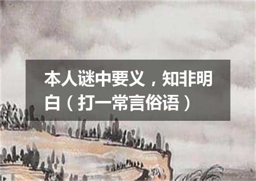 本人谜中要义，知非明白（打一常言俗语）