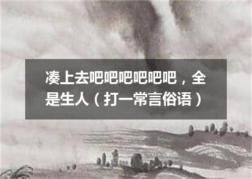 凑上去吧吧吧吧吧吧，全是生人（打一常言俗语）