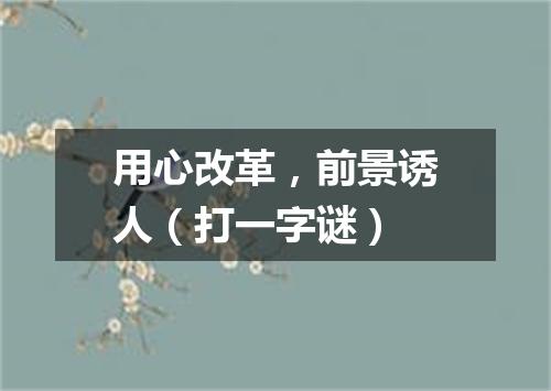 用心改革，前景诱人（打一字谜）