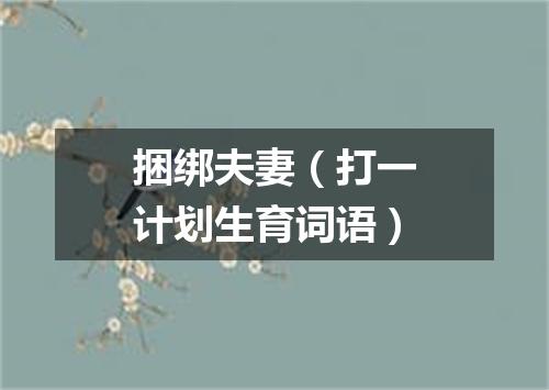 捆绑夫妻（打一计划生育词语）