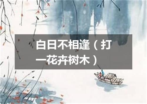 白日不相逢（打一花卉树木）