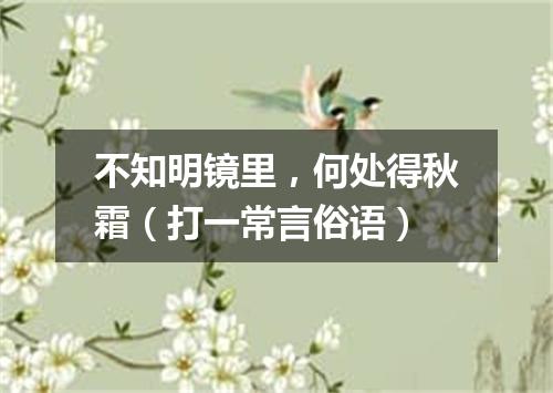 不知明镜里，何处得秋霜（打一常言俗语）