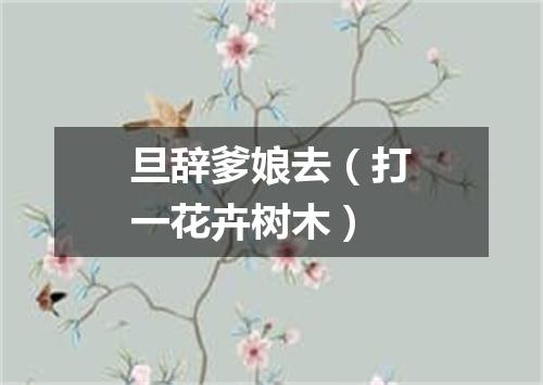 旦辞爹娘去（打一花卉树木）