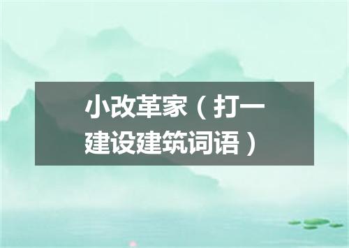 小改革家（打一建设建筑词语）