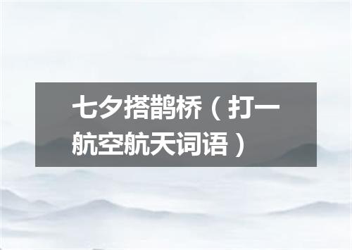 七夕搭鹊桥（打一航空航天词语）