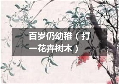 百岁仍幼稚（打一花卉树木）