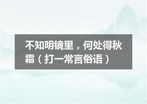 不知明镜里，何处得秋霜（打一常言俗语）