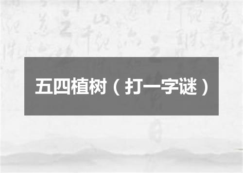五四植树（打一字谜）