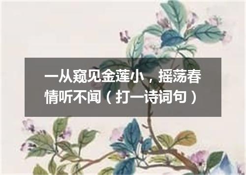 一从窥见金莲小，摇荡春情听不闻（打一诗词句）
