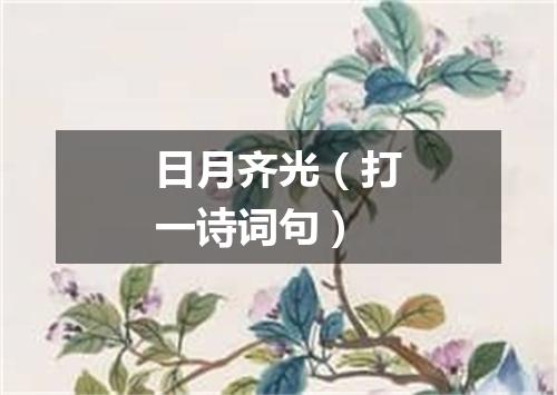 日月齐光（打一诗词句）