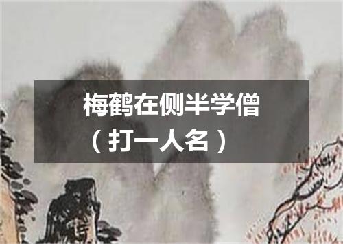 梅鹤在侧半学僧（打一人名）