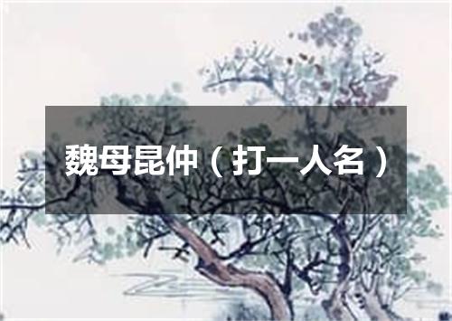魏母昆仲（打一人名）