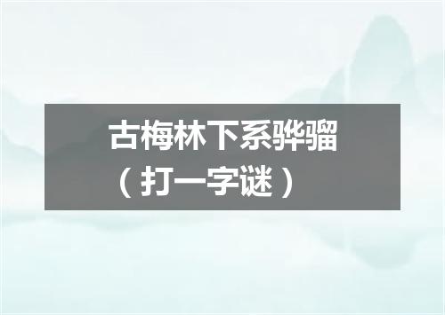 古梅林下系骅骝（打一字谜）