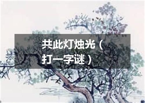 共此灯烛光（打一字谜）