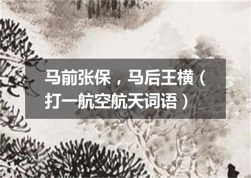 马前张保，马后王横（打一航空航天词语）