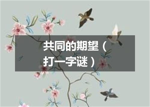 共同的期望（打一字谜）