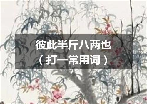 彼此半斤八两也（打一常用词）