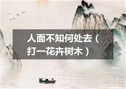 人面不知何处去（打一花卉树木）