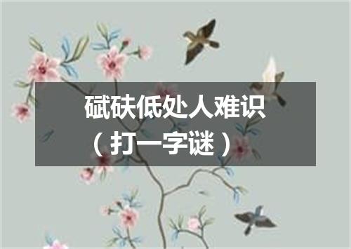 碔砆低处人难识（打一字谜）