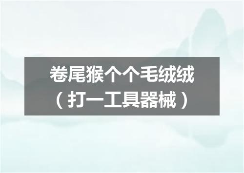 卷尾猴个个毛绒绒（打一工具器械）