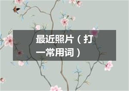 最近照片（打一常用词）