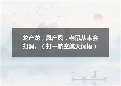 龙产龙，凤产凤，老鼠从来会打洞。（打一航空航天词语）