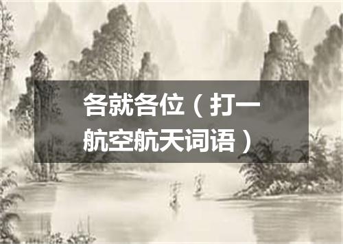 各就各位（打一航空航天词语）