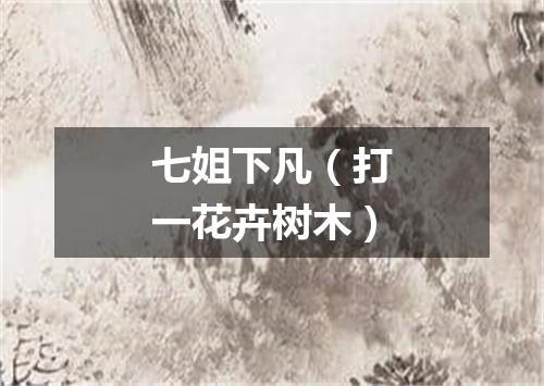 七姐下凡（打一花卉树木）