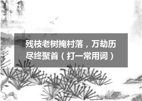 残枝老树掩村落，万劫历尽终聚首（打一常用词）