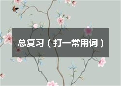 总复习（打一常用词）